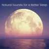 Yoga for a Better Sleep - Yoga Nidra Music song lyrics