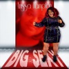 Big Sexy - Single