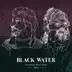 Black Water (feat. Steve Earle) - Single album cover