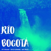 Río Bogotá artwork