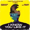 I Know You Like It - Single album lyrics, reviews, download