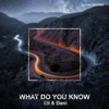 What Do You Know - Single