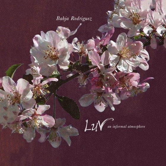 Cover artwork for Ride