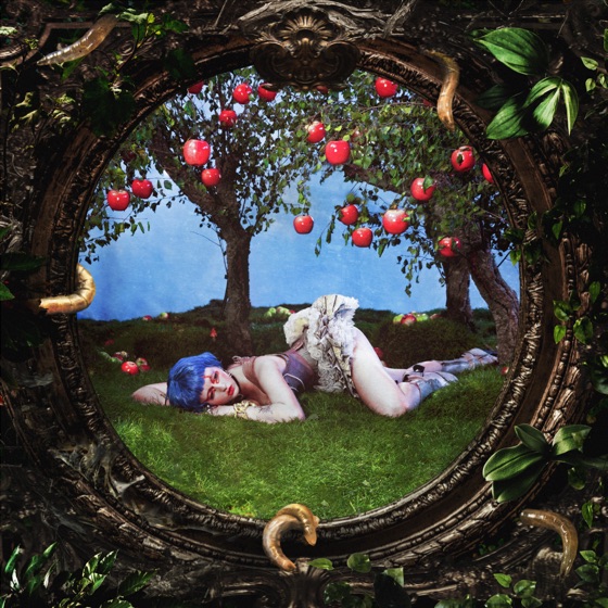 Cover artwork for Maggots