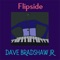 Flipside - Dave Bradshaw Jr. lyrics