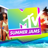 Various Artists - MTV Summer Jams artwork