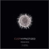 Hypnotized (Vertex Remix) artwork