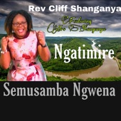 Ngatimire seMusambangwena artwork