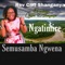 Ngatimire seMusambangwena artwork