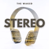 Stereo artwork