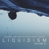 Liquidism, Vol 1. - EP
