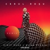 Cerul roșu (Remix) - Single