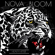 Heavy Hitter - Nova Bloom