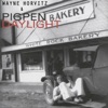 Wayne Horvitz - Don't Explode on Me