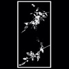 Strain - EP