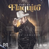 Para el Flaquito artwork