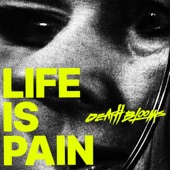 Life Is Pain artwork