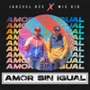 Amor Sin Igual - Single