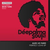 Perfect Love (Extended Mix) artwork