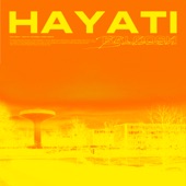 Hayati artwork