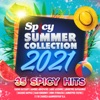 Spicy Summer Collection 2021 (35 Spicy Hits)