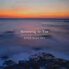 Returning to You - Single album lyrics, reviews, download