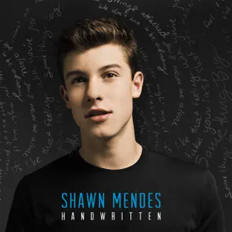 The Weight by Shawn Mendes song reviws