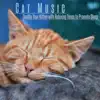 Cat Music - Soothe Your Kitten with Relaxing Tones to Promote Sleep album lyrics, reviews, download