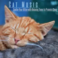 Relaxing Kitten Sleep Song Lyrics
