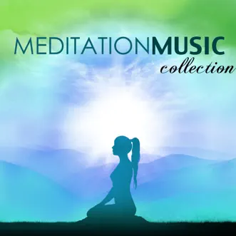 Meditation Music Collection - Oasis of Zen Relaxation for Mindful Meditations, Yoga and Massage Therapy by Meditation Music album reviews, ratings, credits