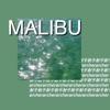 Malibu - Single