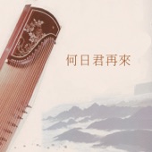 何日君再來 (揚琴演奏vs古箏演奏-01揚琴演奏 1) artwork