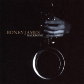 Boney James - The Night I Fell In Love