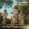 The Small Things (feat. Dim Zach) - Single