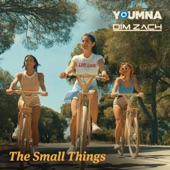 The Small Things (feat. Dim Zach) artwork