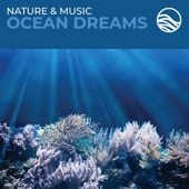 David Arkenstone - Ocean Dreams