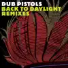 Back to Daylight (The Remixes) [feat. Ashley Slater] - EP album lyrics, reviews, download