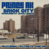 Prince AK - Brick City (feat. Tru Trilla & RIQ)