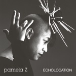 Pamela Z - Pop Titles 'You'