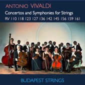 Concerto for Strings in G Major, RV 145: III. Presto artwork