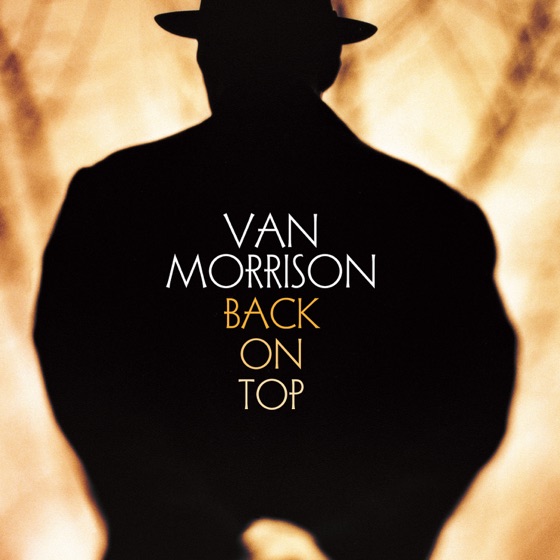 Cover artwork for Goin' Down Geneva