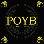 Poyb artwork