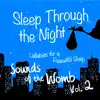 Sleep Through the Night: Sounds of the Womb, Vol. 2 (Lullabies for a Peaceful Sleep) album lyrics, reviews, download