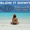 Slow It Down (feat. Irieweb Sounds) - Jeremy Abbott lyrics