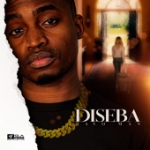 Diseba artwork