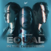 Equal in the Darkness artwork