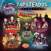 Zapateados Calentanos - Various Artists