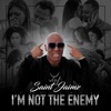 I'm Not the Enemy - Single