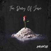 The Diary of Jane (feat. Barbie Sailers & Onlap) artwork