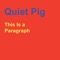 Q.P. - Quiet Pig lyrics